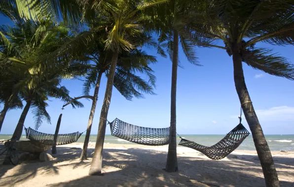 Sand, sea, wave, beach, summer, the sky, palm trees, shore