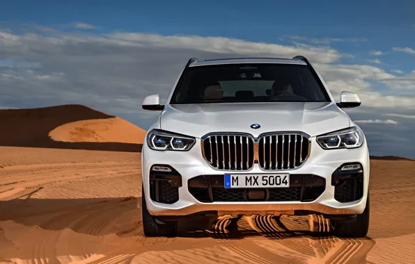 Picture front view, 2018, crossover, BMW, X5 M, Sport, xDrive30d