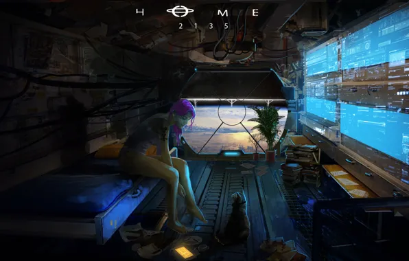 Space, the window, cabin, woman, cat, home, 2135