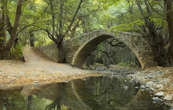 Picture forest, leaves, trees, bridge, Park, reflection, river, stream