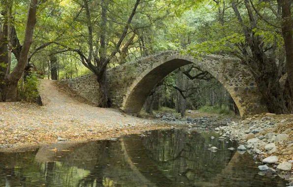 Forest, leaves, trees, bridge, Park, reflection, river, stream