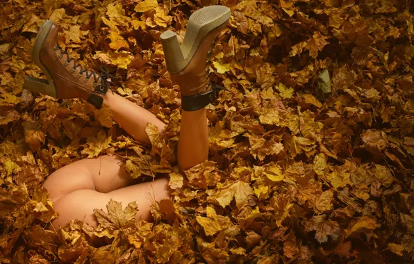 Autumn, ass, leaves, foliage, shoes, legs, Clover, Artofdan