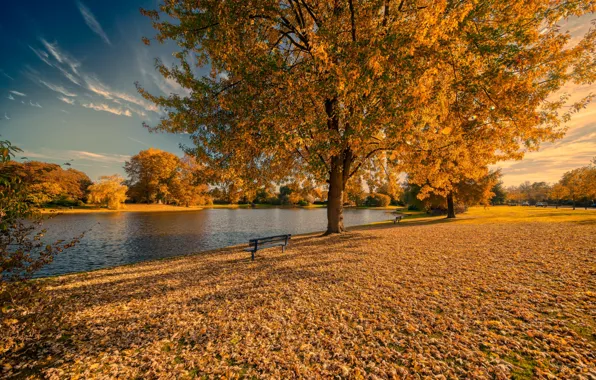 Picture autumn, Park, bench