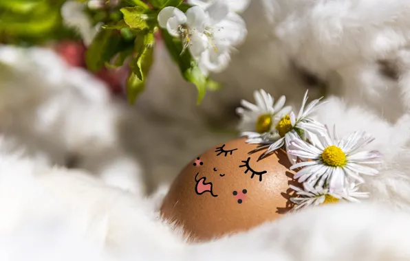 Flowers, face, eyelashes, holiday, egg, sleep, chamomile, branch