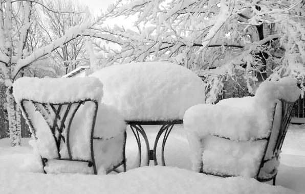 Picture winter, snow, trees, photo, background, Wallpaper, chairs, Nature