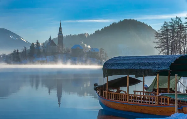 Cold, forest, mountains, boat, beauty, pair, town, pond