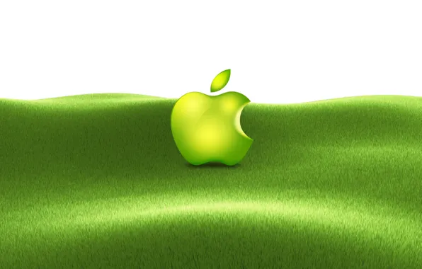 Picture grass, apple, mac