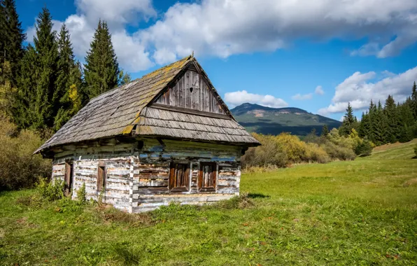 The sky, Nature, Mountains, Forest, House, Landscape