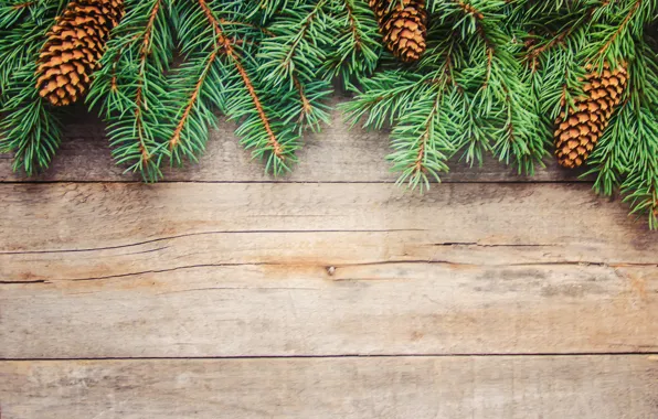 Branches, spruce, bumps, needles
