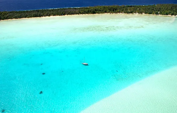 Water, the ocean, yacht, Laguna, blue
