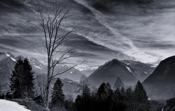 Picture winter, the sky, clouds, snow, trees, mountains, nature, rocks