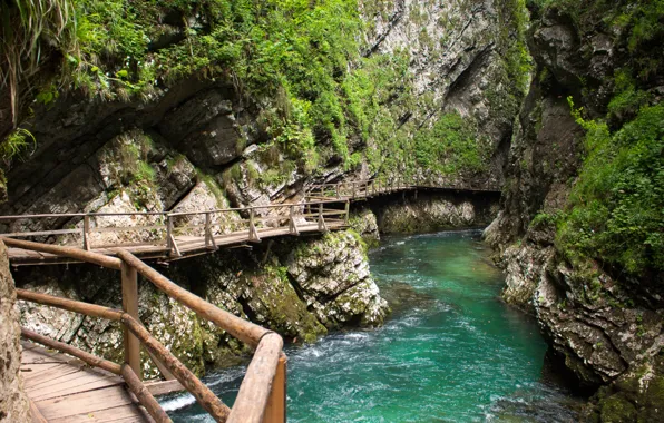 Picture river, bridges, Slovenia
