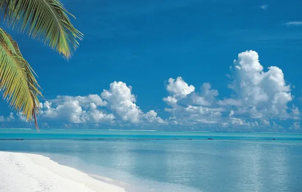 Picture Landscape, Beach, Summer, Sea