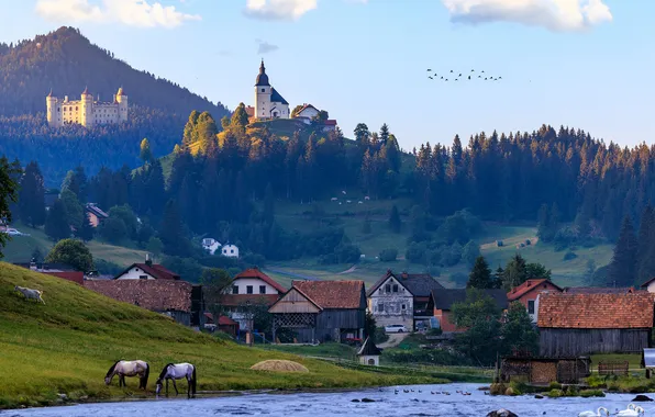 Forest, the sky, clouds, mountains, birds, comfort, river, castle