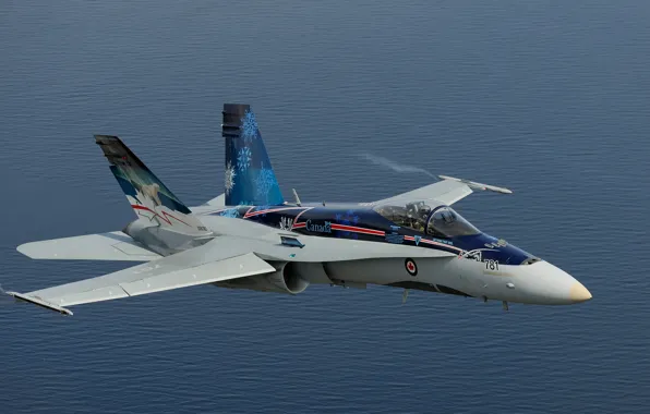 Picture fighter, multipurpose, Hornet, CF-18