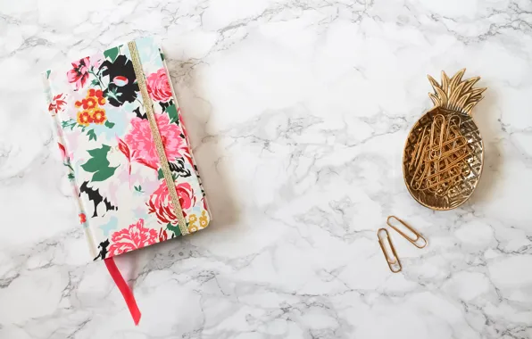 Notepad, pineapple, clip, marble