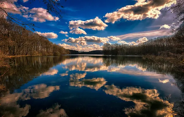 Forest, the sky, clouds, trees, landscape, lake
