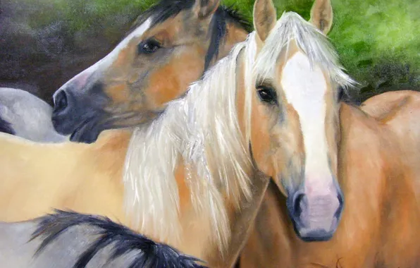 Nature, oil, horses, portrait, horse, pair, painting, canvas