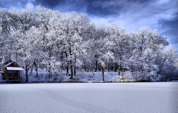 Picture forest, water, Winter, frost, hdr, mystery