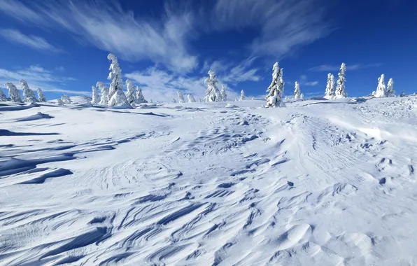 Winter, the sky, snow, landscape, nature, photo