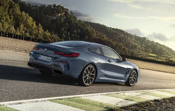 Asphalt, coupe, track, BMW, Coupe, 2018, gray-blue, 8-Series