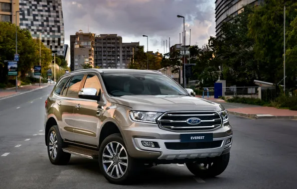 Picture asphalt, the city, street, Ford, Everest, Limited, 4WD, 2019