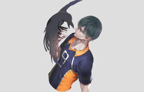 Bird, guy, Raven, crow, Volleyball, Haikyuu, Kageyama, Tobio