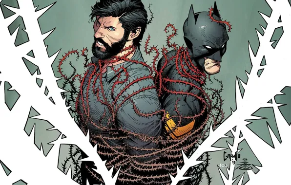 Batman, Costume, Hero, Mask, Comic, Superhero, Hero, Batman