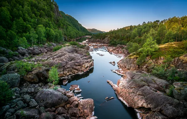Picture forest, the sky, trees, landscape, mountains, river, stones, rocks