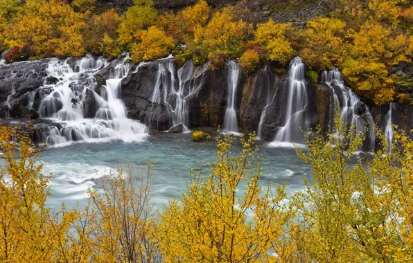 Picture autumn, forest, trees, branches, rocks, shore, waterfall, pond