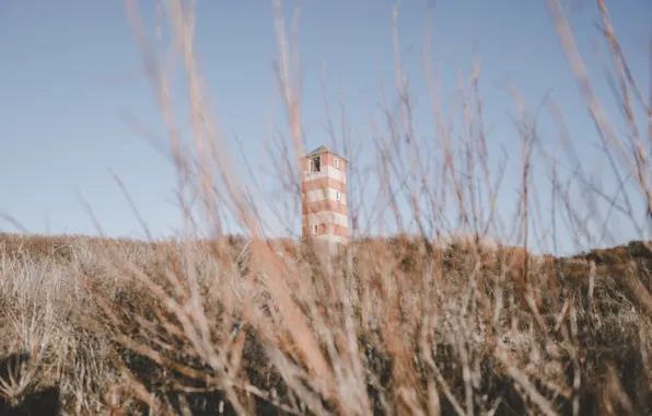 The sky, grass, nature, vegetation, the building, tower, the bushes