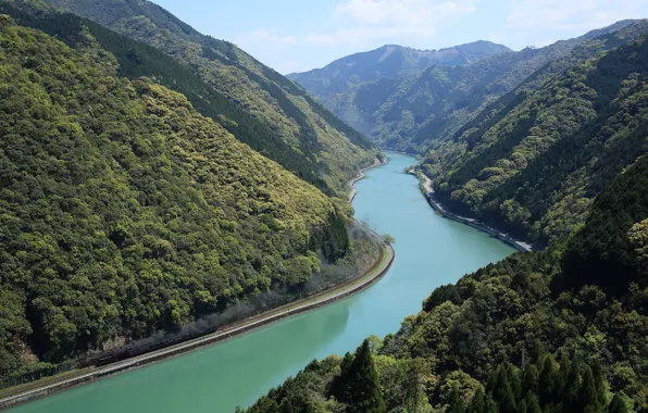 Picture forest, landscape, mountains, river