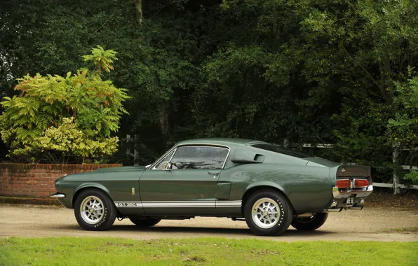 Picture Ford Mustang, 1967, Muscle Car, Shelby GT350