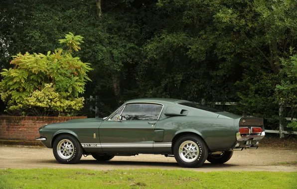 Ford Mustang, 1967, Muscle Car, Shelby GT350