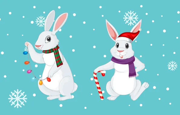 Snow, snowflakes, figure, graphics, rabbit, figures, pair, cane