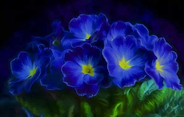 Leaves, flowers, petals, blue, Primula, primrose