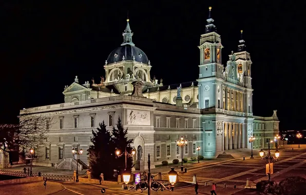 Night, lights, area, lights, Cathedral, Spain, Palace