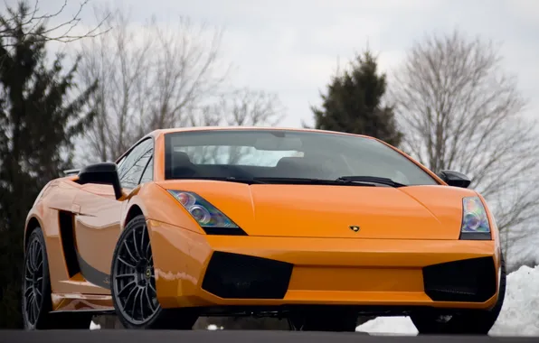 Trees, supercar, gallardo, lamborghini, front view, Lamborghini, Gallardo, superleggera