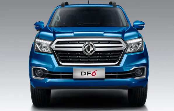 Picture front view, pickup, Dongfeng, Dongfeng DF6, Rich 6