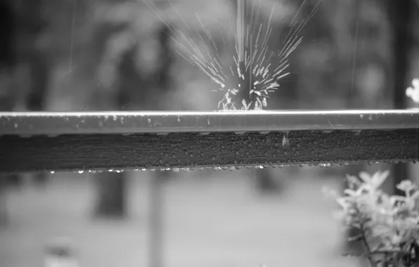 Autumn, Rain, Rain
