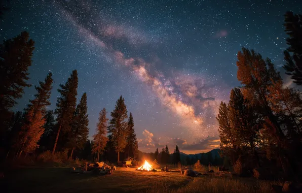Field, forest, the sky, space, stars, light, mountains, night