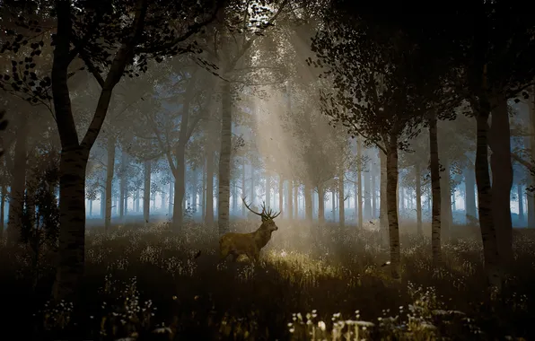 Forest, nature, the game, deer, art, distortion, game art
