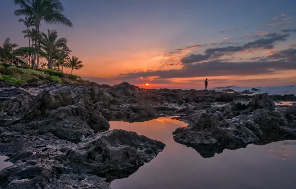 Sunset, palm trees, the ocean, coast, Hawaii, Hawaii, Maui, Maui