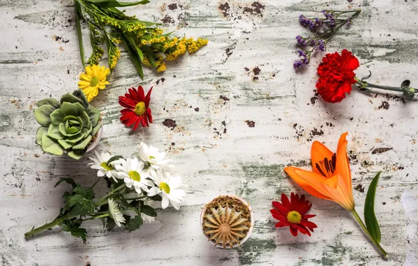 Flowers, colorful, wood, flowers, composition, floral