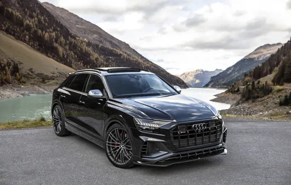 Mountains, Audi, TDI, crossover, ABBOT, 2019, SQ8