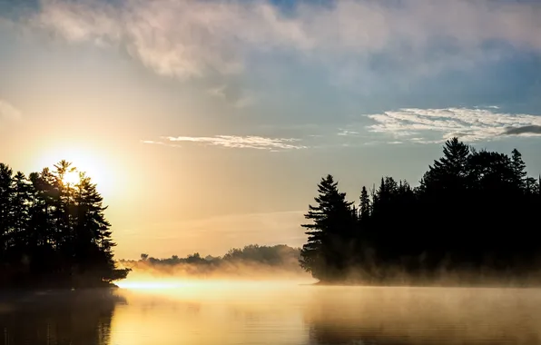 The sky, clouds, trees, fog, lake, reflection, sunrise, mirror
