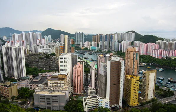 Picture photo, Hong Kong, The city, Skyscrapers, China, Megapolis