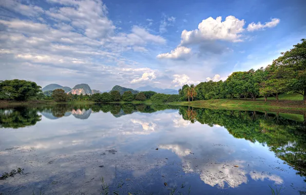 Picture forest, lake, malaysia, gopeng