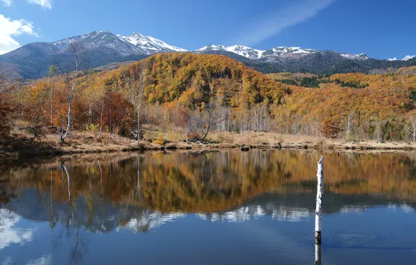 Picture autumn, trees, mountains, lake, hills, trunk