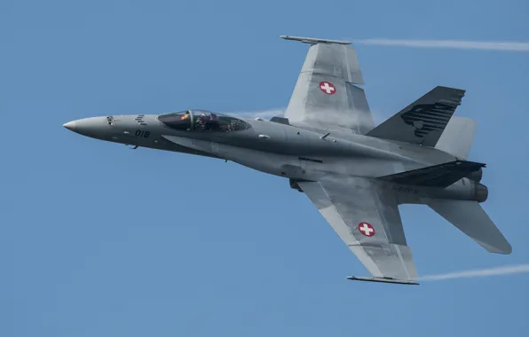 Fighter, multipurpose, Hornet, CF-18